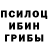 Псилоцибиновые грибы Magic Shrooms HayPi !!!